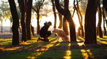 A man kneeling down next to a dog in the woods, seeking solace and company.